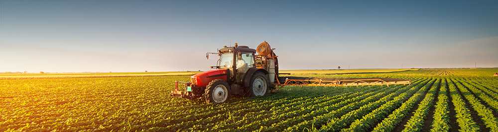 Ascendant Insurance Solutions provides specific products tailored to meet the needs of the agriculture industry, including Workers' Compensation insurance for farms and nurseries throughtout the state of Florida.